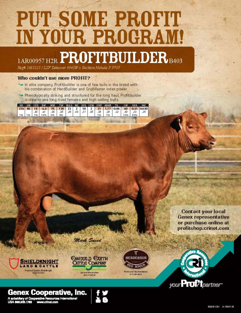 A-11651-16-Red Angus Magazine new